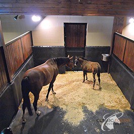 Stall Mat Bed Liner Bedliner