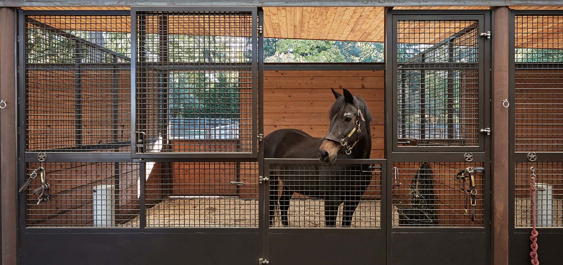 Mesh horse stall fronts with hinged doors