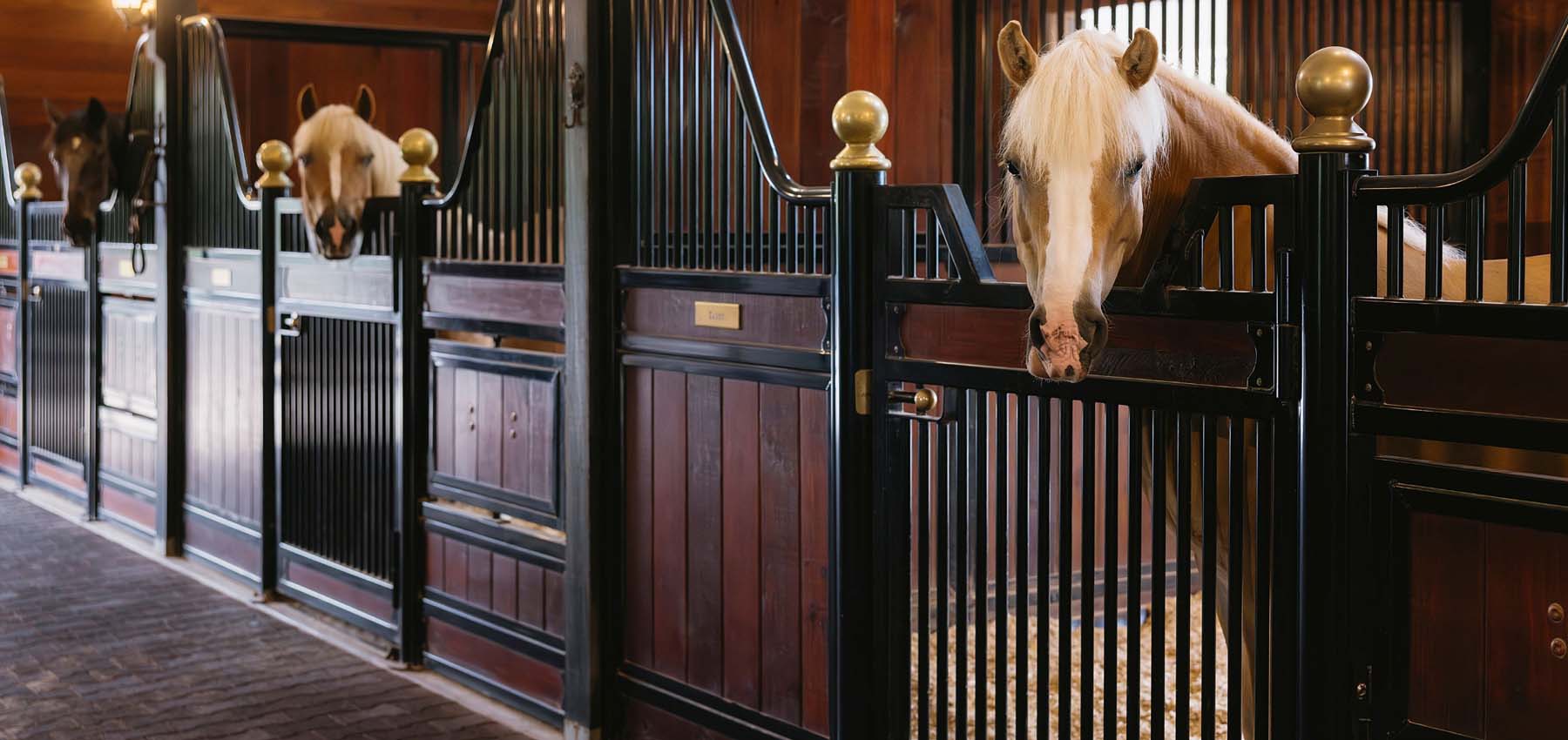 European Series hinged-door stall fronts with miniature horses in the stalls