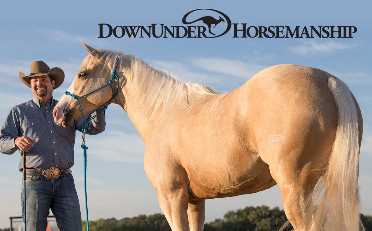 Downunder Horsemanship Clinton Anderson with horse on lead rope