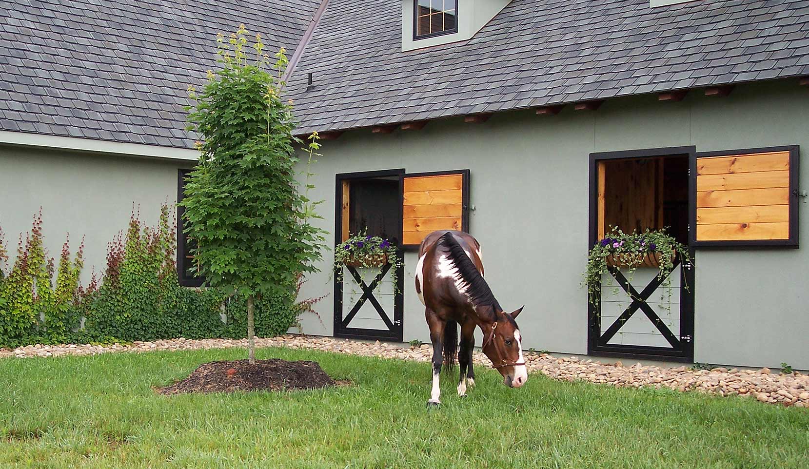 Dutch doors with horizontal wood fill. Horse grazing in paddock