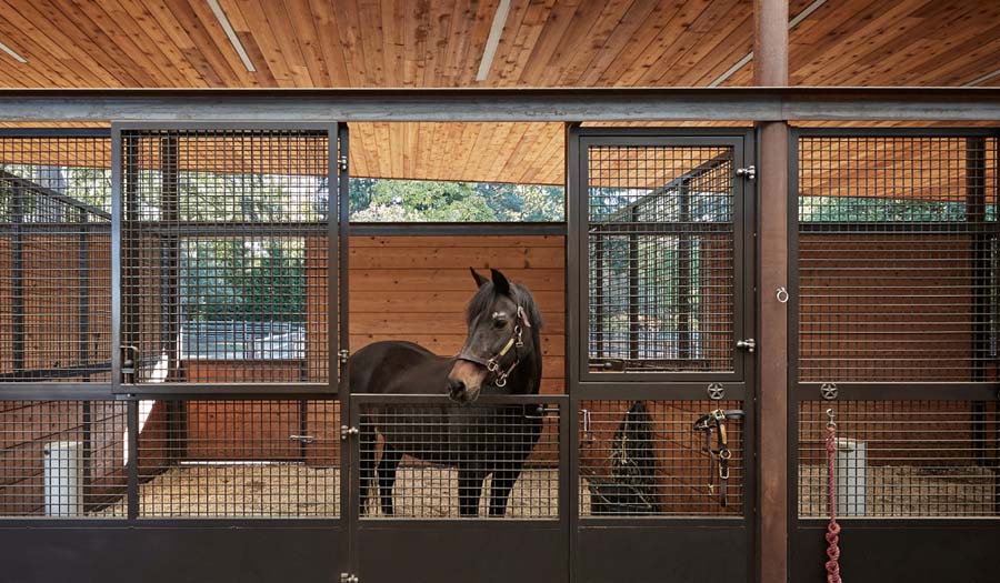 Style E002 - Custom European Series Horse Stall