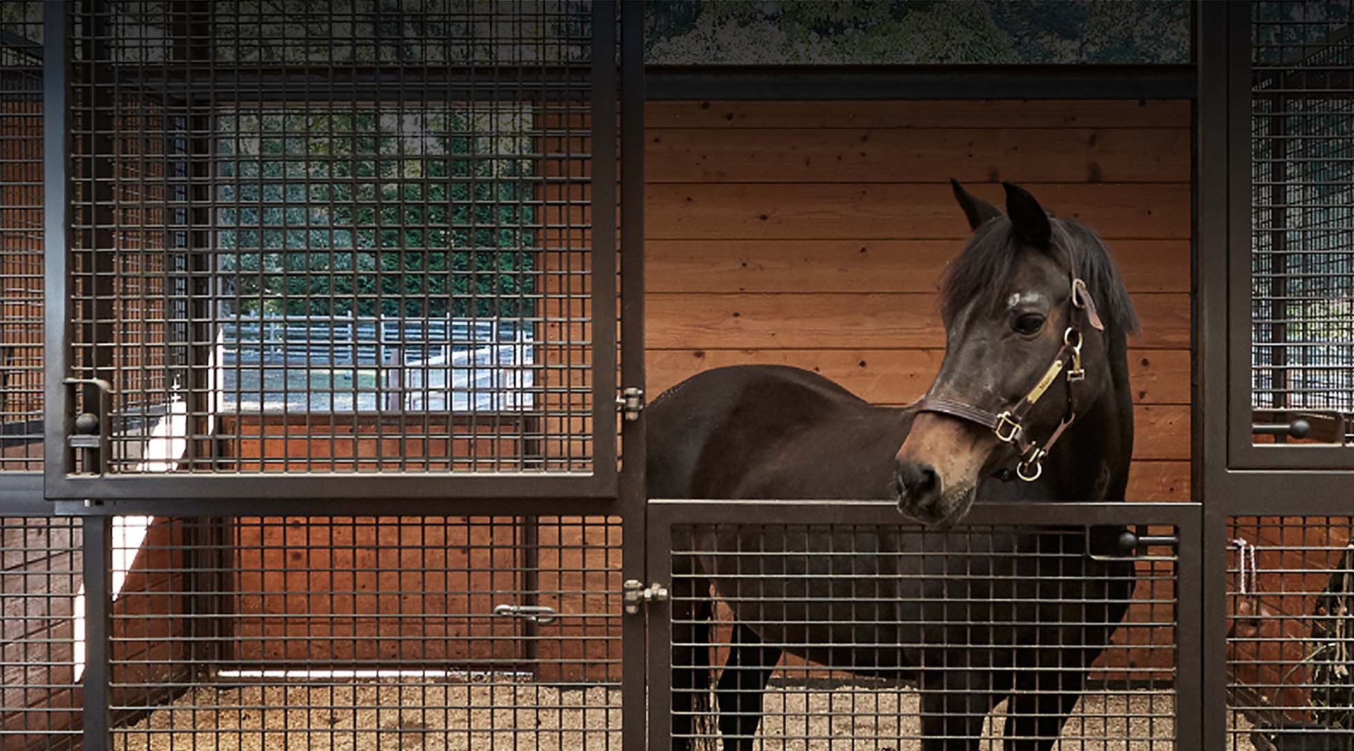 Full mesh interior stall door with hinged-top open and horse looking out