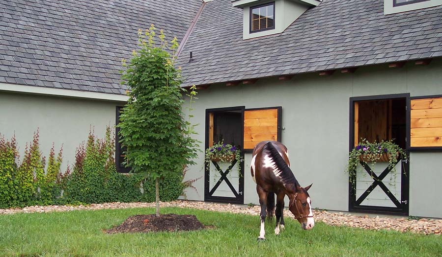 Style DD007 - Standard Dutch door with crossbucks