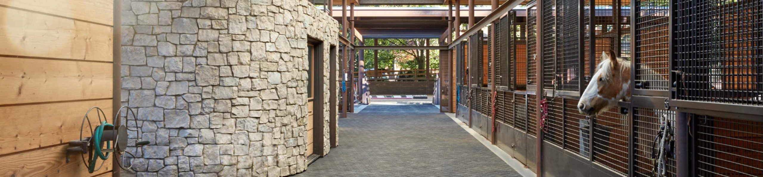 Island Equestrian barn mesh horse stall fronts with hinged doors