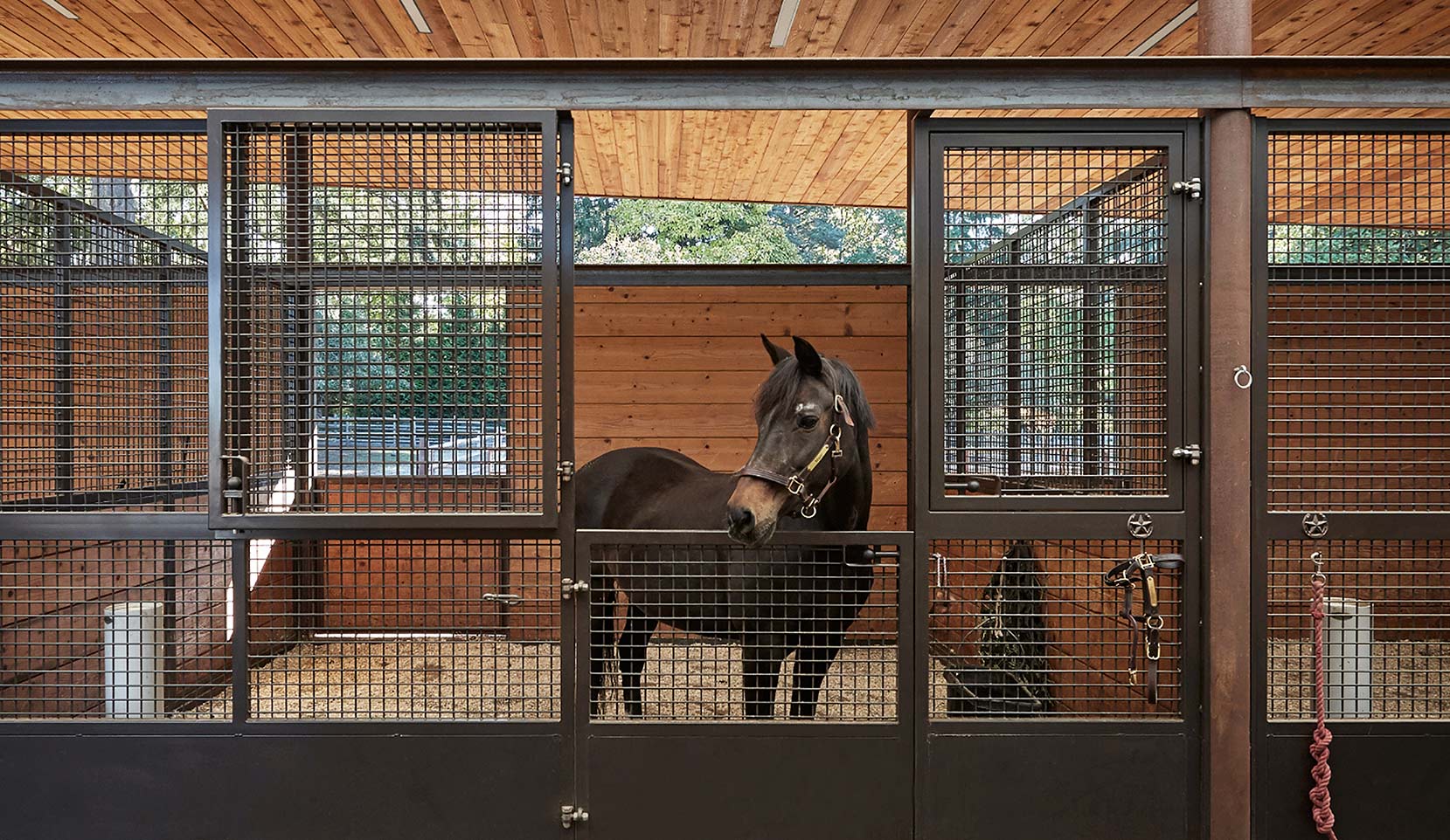 Hinged stall doors with full mesh horse stall front.