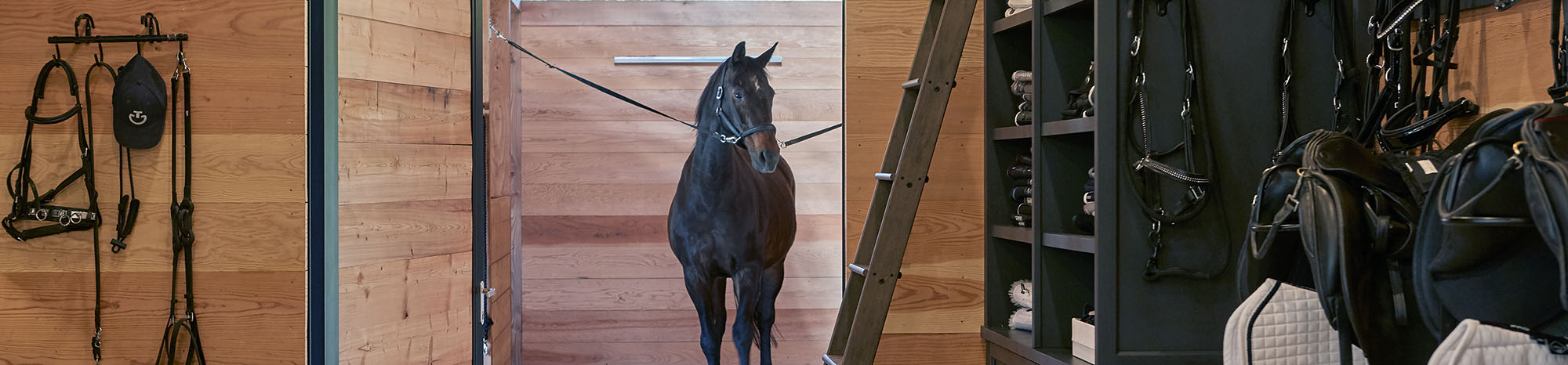 Tack room storage system. Horse on cross-ties in the background in a grooming station.