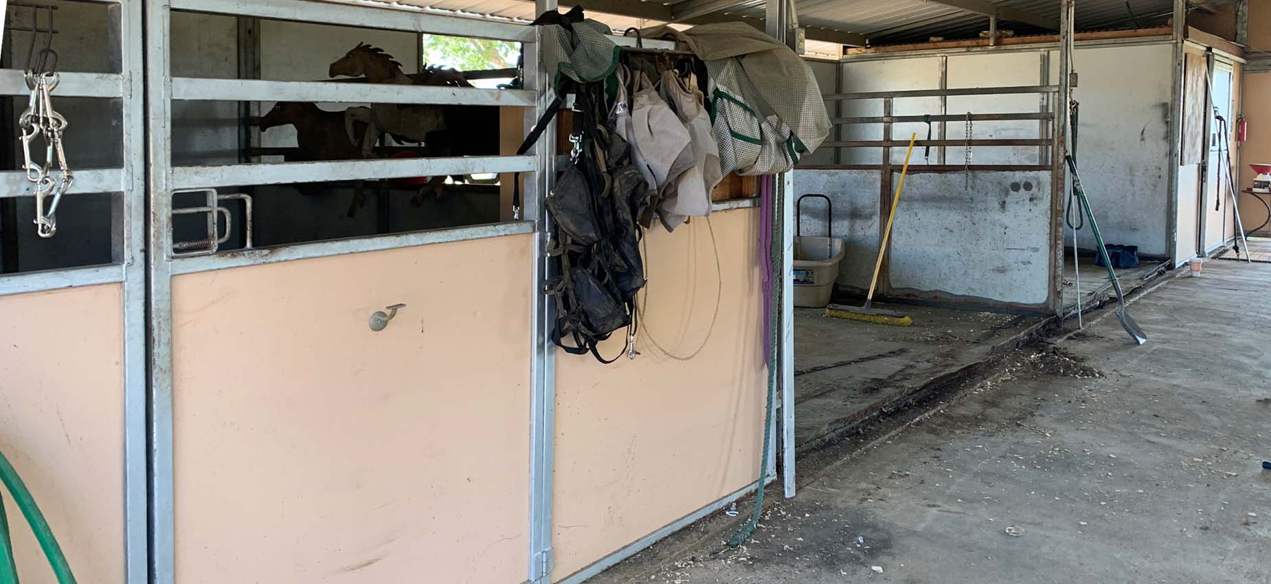 Barbara Allen before renovation