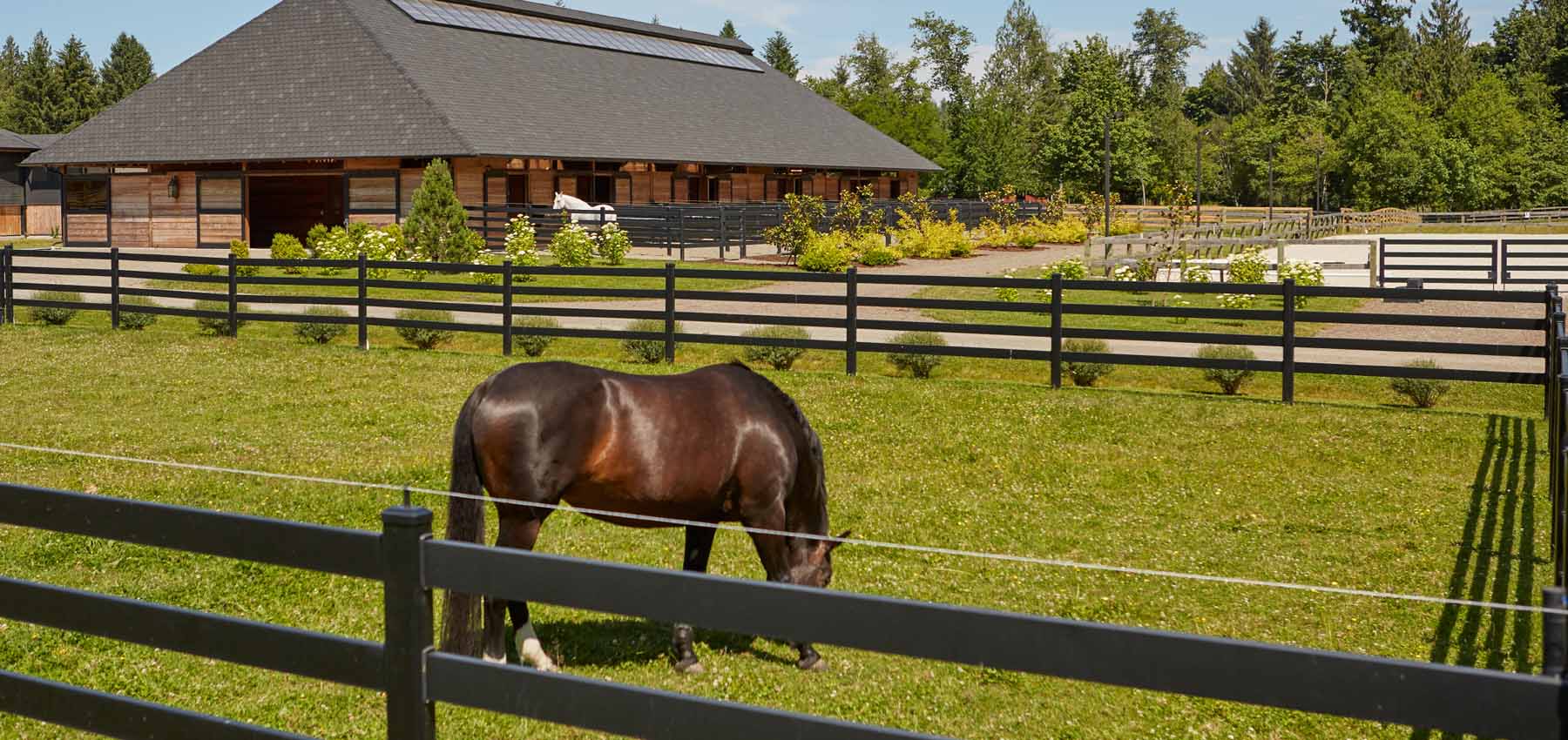 Classic Equine Equipment Holland