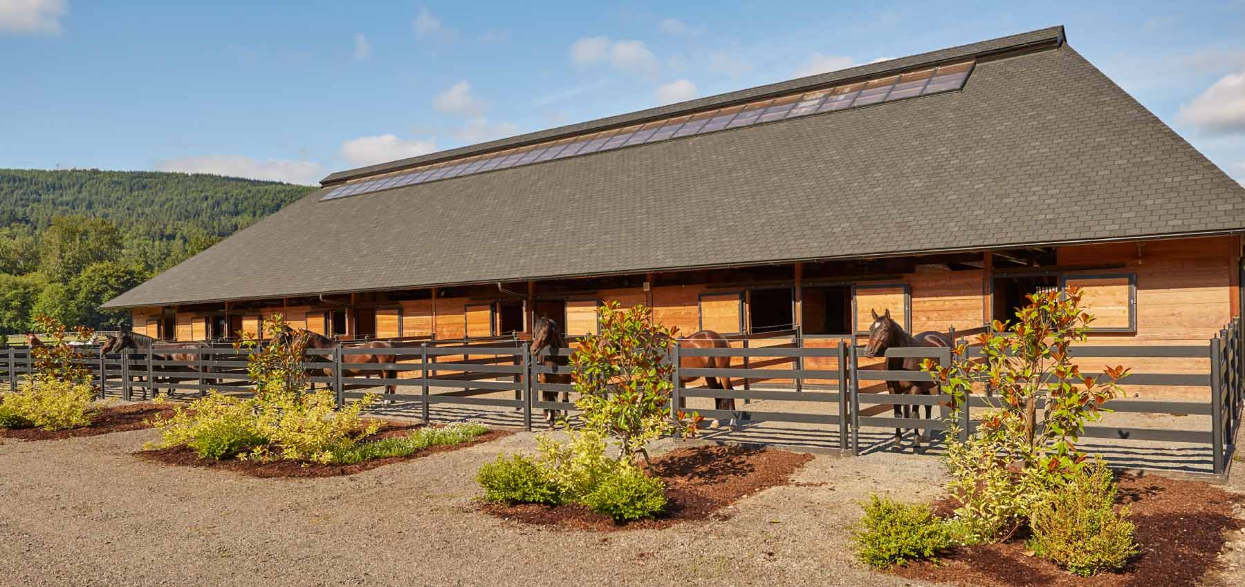 Classic Equine Equipment Holland