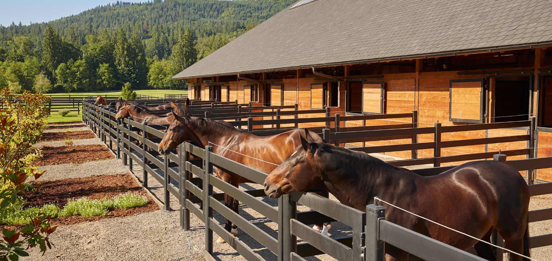 Classic Equine Equipment Holland