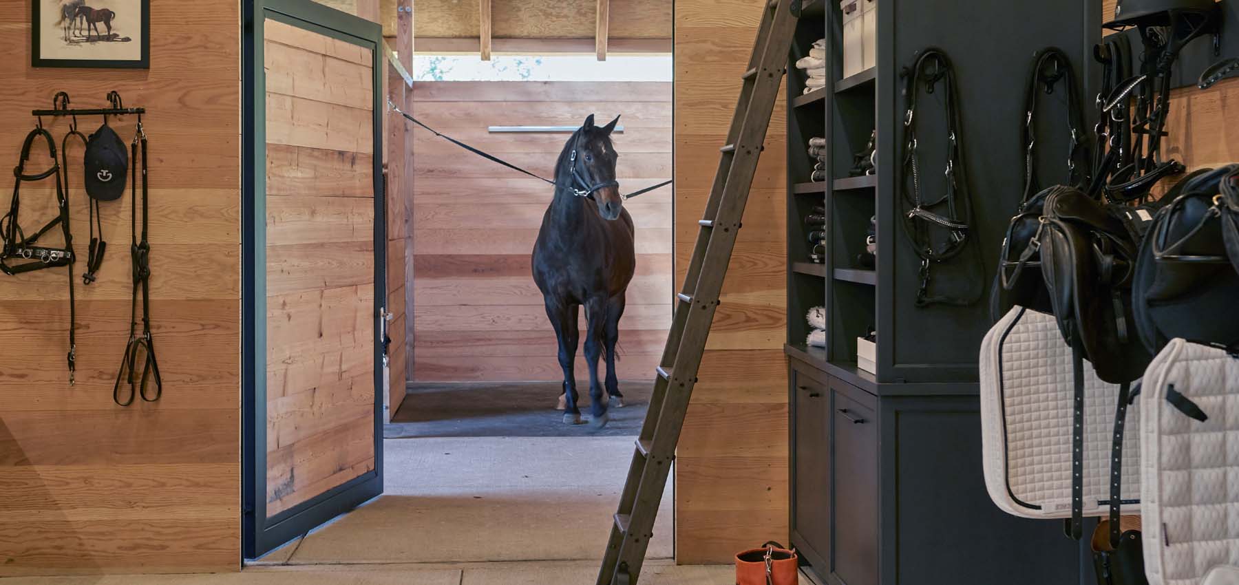 Classic Equine Equipment Holland