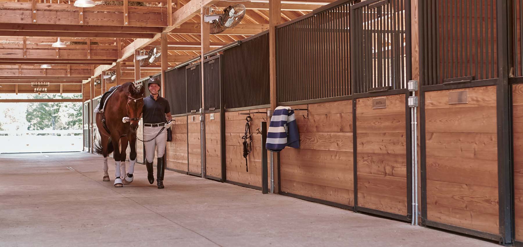 Classic Equine Equipment Holland