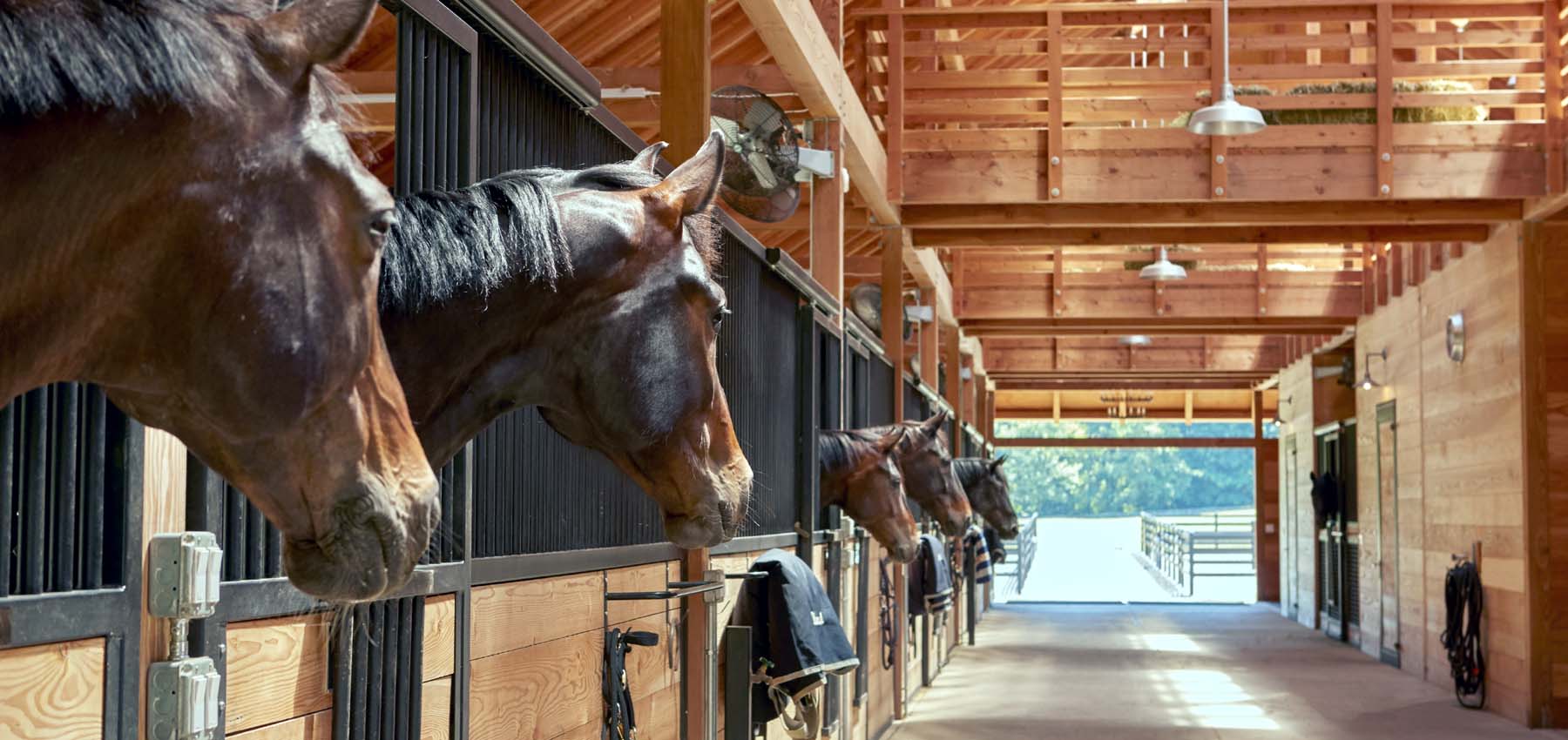 Classic Equine Equipment Holland