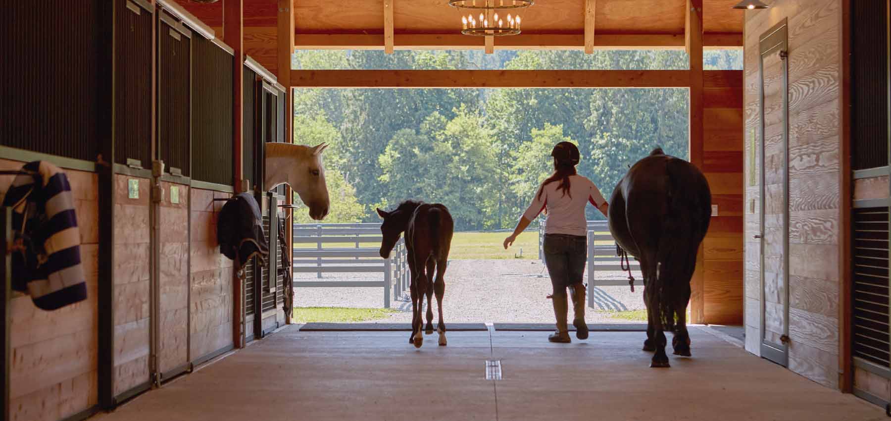 Classic Equine Equipment Holland