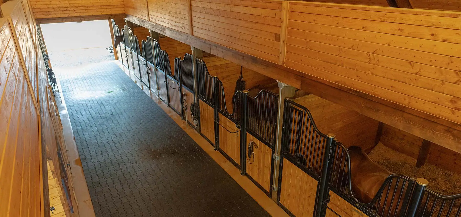 Top view of high Euro stall front. Horses in stalls. Grey Tru-Step® pavers.