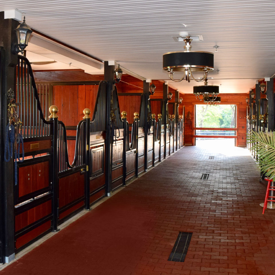 R R Ranch R&R Ranch - Classic Equine Equipment
