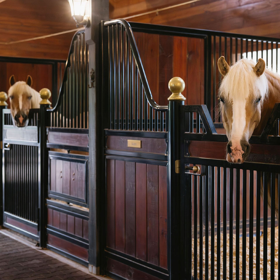 R R Ranch R&R Ranch - Classic Equine Equipment