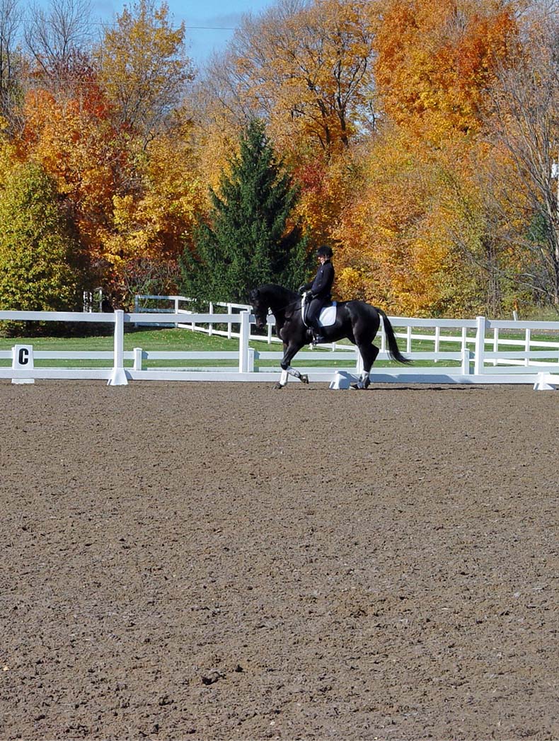 FootingFirst™ arena footing blend
