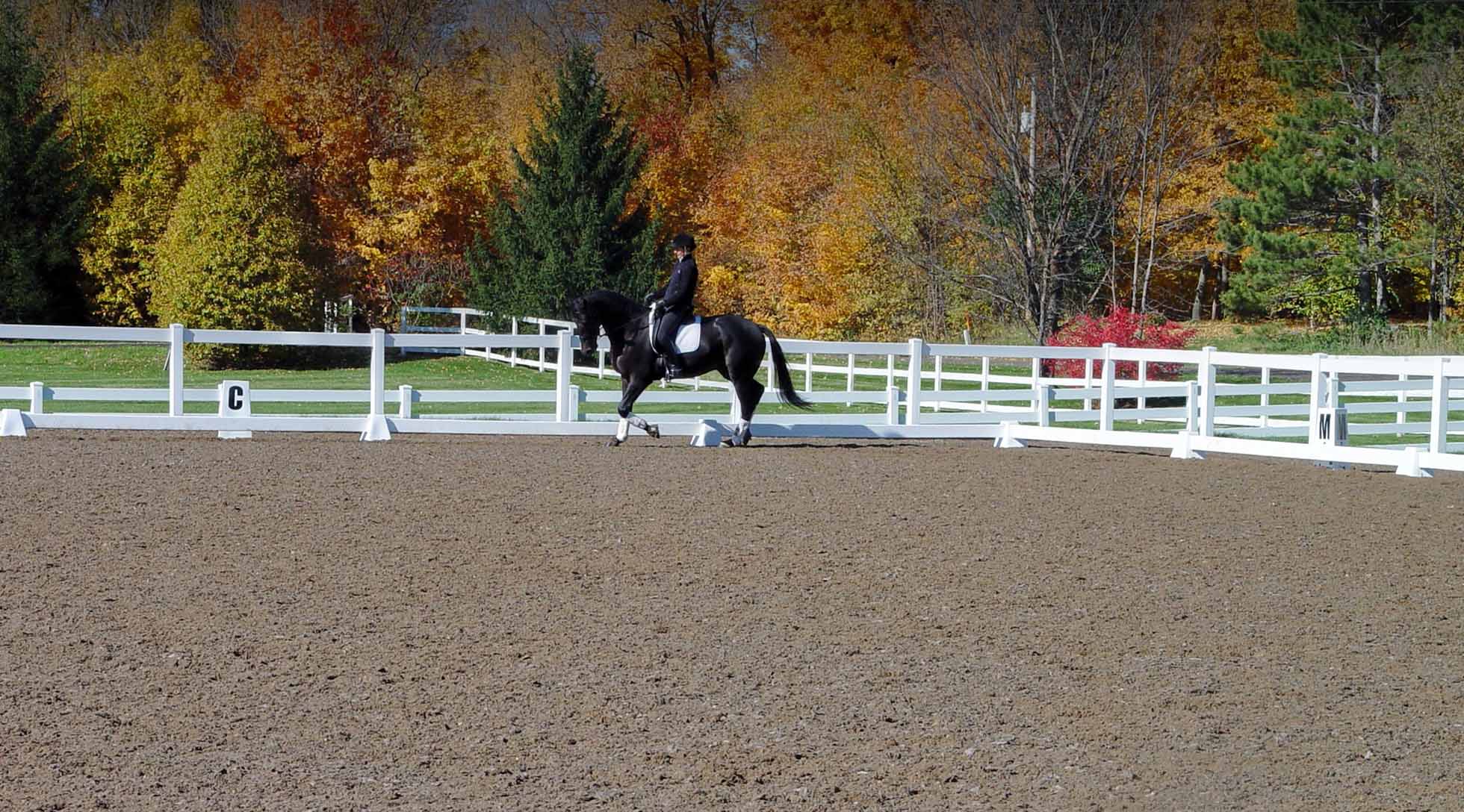 Dressage rider and horse riding on FootingFirst™ outdoor arena footing blend.