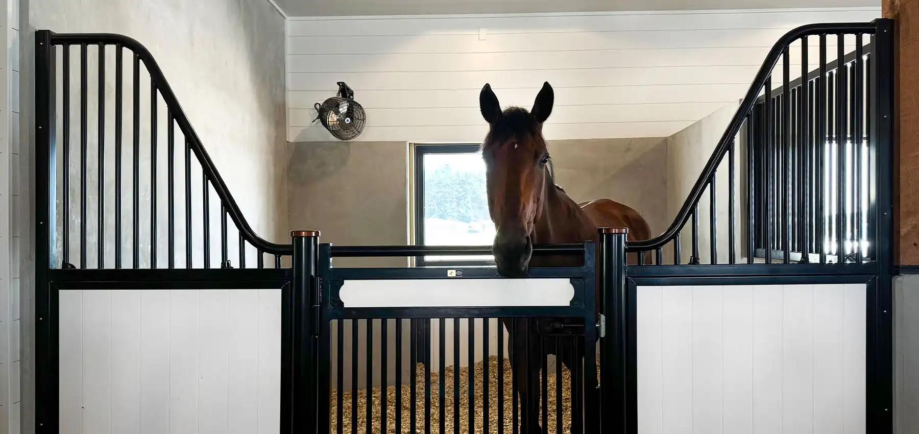 Ron Gajoch project at Private Michigan Horse Farm