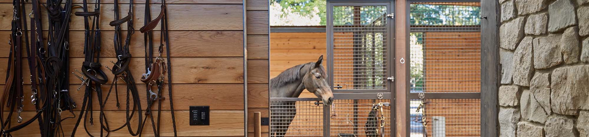 Tack wall with bridles and horse in hinged horse stall with mesh stall front.