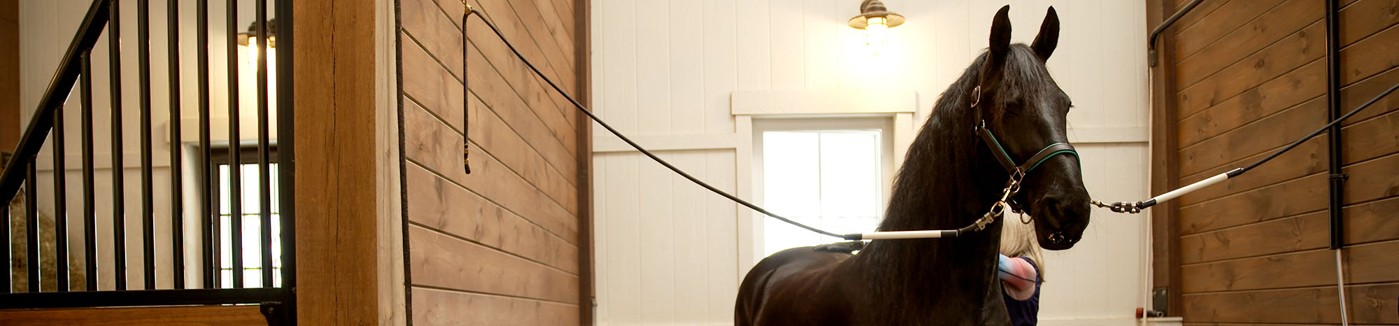Horse and groom in wash bay stall