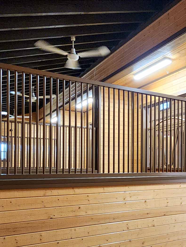 Indoor outdoor 3-blade ceiling fan